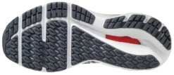 Mizuno Women's Wave Inspire 17 Waveknit -BROOKS Store 411311 5366 02