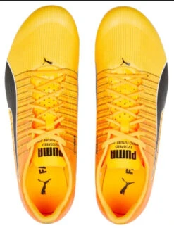 PUMA Unisex EvoSPEED Tokyo Brush 4 Track Spike -BROOKS Store PumaUnisexevoSPEEDTokyoBrush4 5