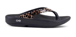 Oofos Women's OOlala Limited Sandal - Black/Leopard (1403)