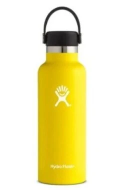 Hydro Flask 18 Oz Standard Mouth Bottles W/ Flex Cap (S18SX) -BROOKS Store s l500