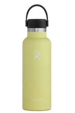 Hydro Flask 18 Oz Standard Mouth Bottles W/ Flex Cap (S18SX) -BROOKS Store s18sx pineapple